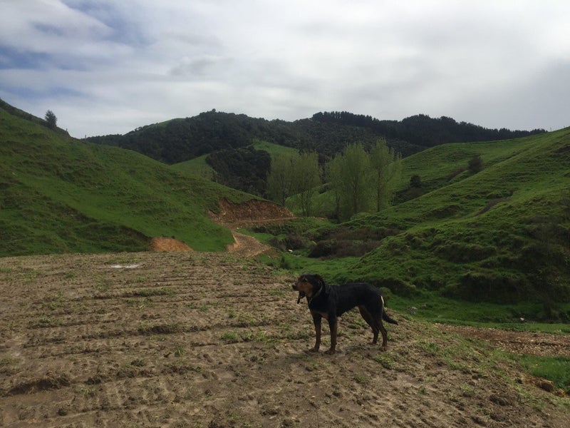 Tiny home space Carousel 2