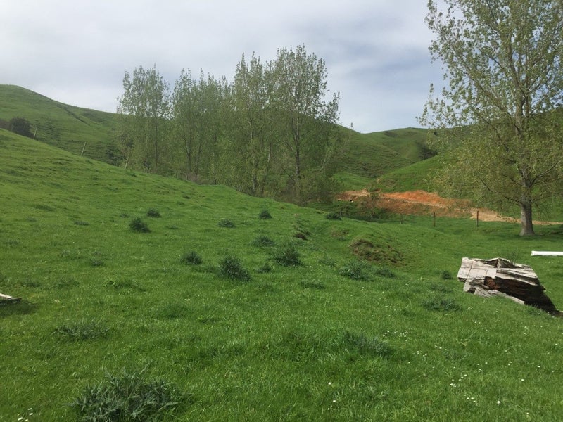 Tiny home space Carousel 5