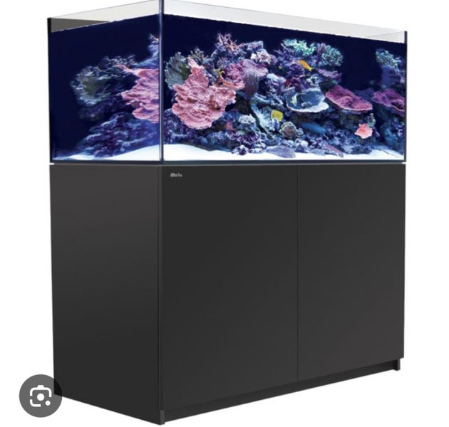 Redsea Reefer 425 G2 Carousel 1