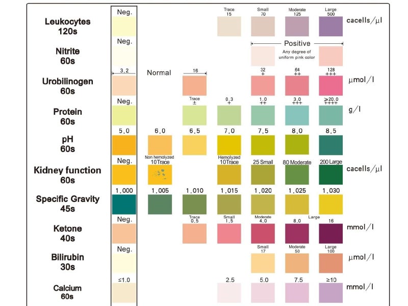 100 Urine Test Strips – 10 Parameter Health Check | NZ Stock64407564884739114