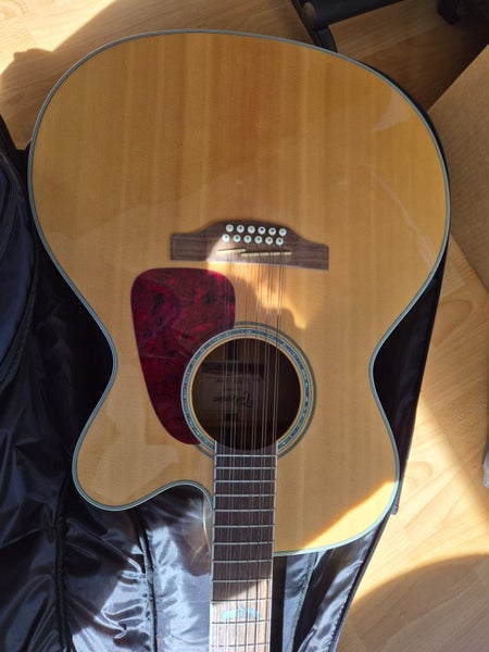 Takamine 12-String G-series64020383953155113
