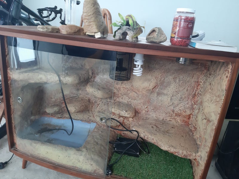 Terrarium Carousel 1