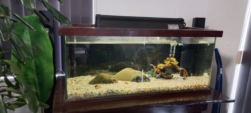 Large Aquarium Carousel 2