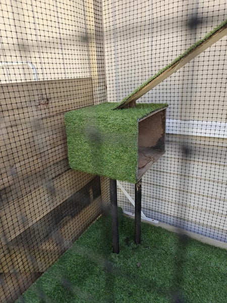 Catio / Enclosure Carousel 2