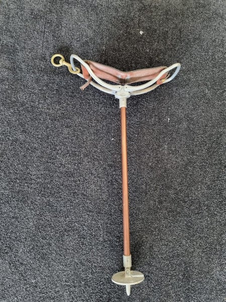 Vintage Shooting Stick Carousel 1
