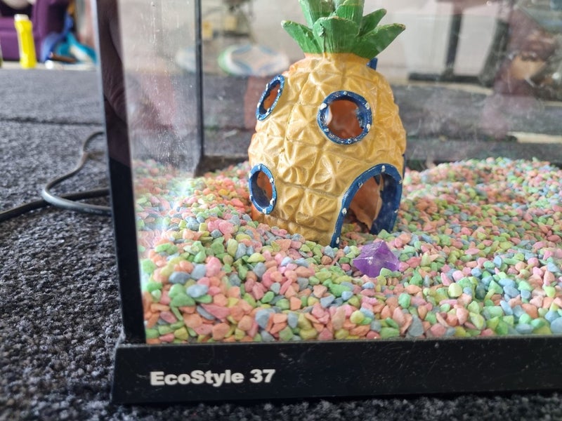 Fish tank Carousel 2