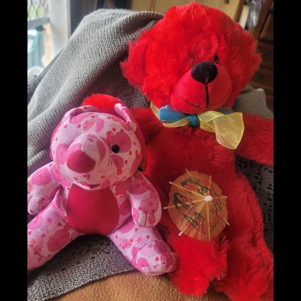 challenge with hubby- cute teddy bear Carousel 1