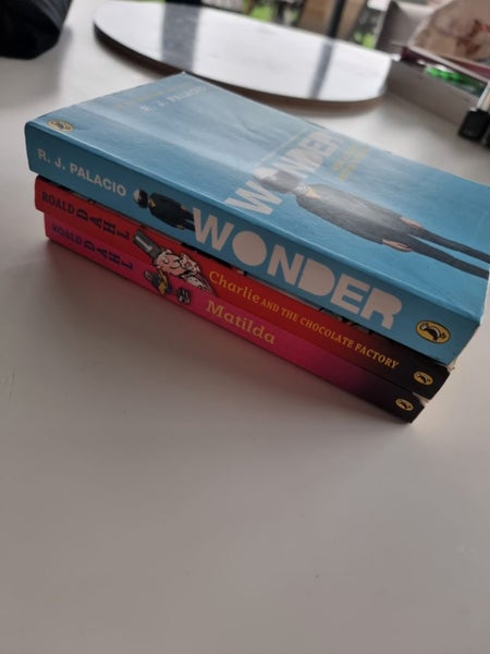 3x young person chapter books Carousel 4