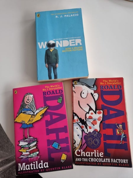 3x young person chapter books Carousel 1