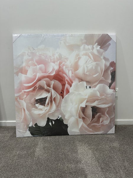 Brand new Canvas poster Carousel 1