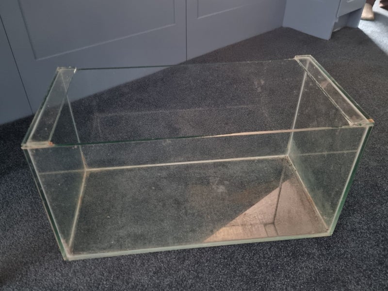 Glass fish tank or terrarium Carousel 1