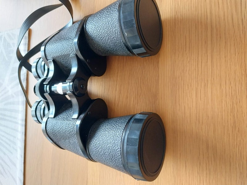 Binoculars Carousel 4