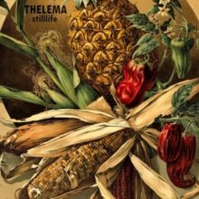 THELEMA - STILLLIFE Carousel 1