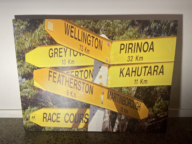 Wairarapa Street signs art Carousel 1