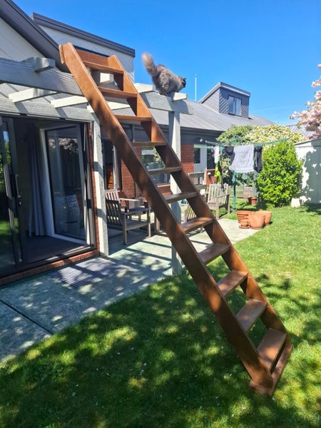 Solid timber Stairs Carousel 1