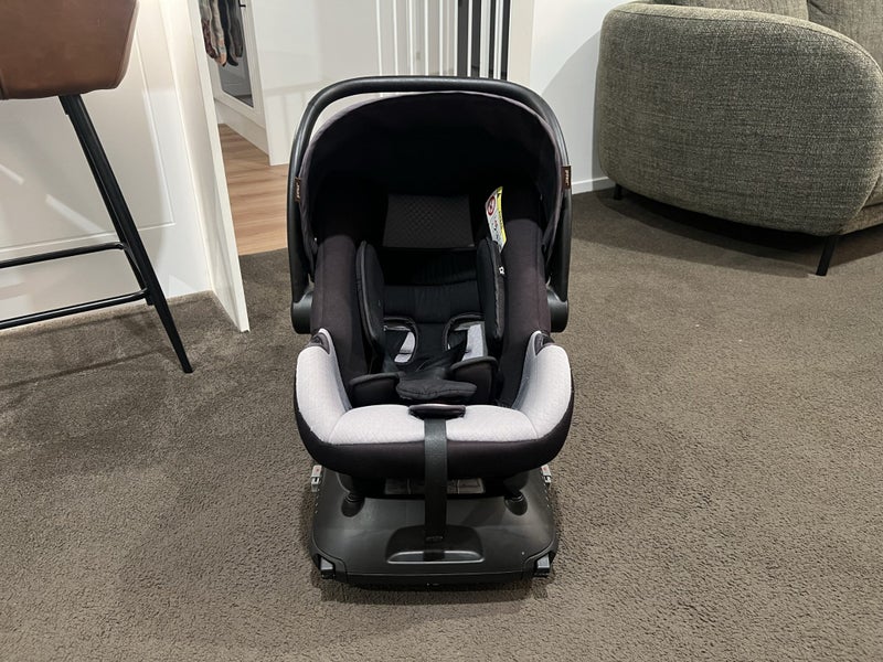 Mountain Buggy Protect Capsule & Isofix Base Carousel 2