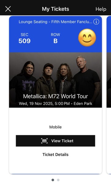 Metallica Lounge seat x 1 Carousel 1