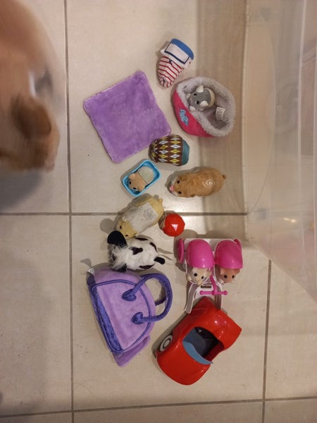 Zhu zhu pets and accessories Carousel 2