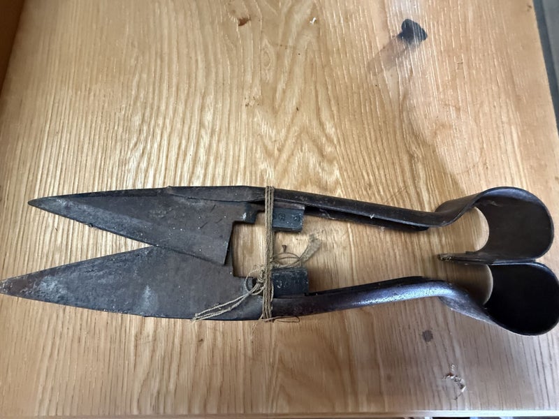 Vintage Hand Shears Carousel 2