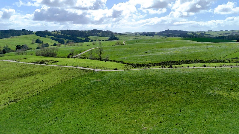 Image 1 of 20