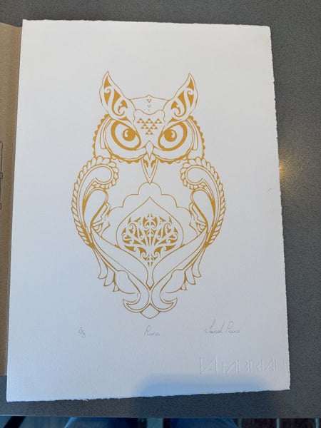 New Zealand Ruru (morepork) owl by Jamal Peeni Carousel 1