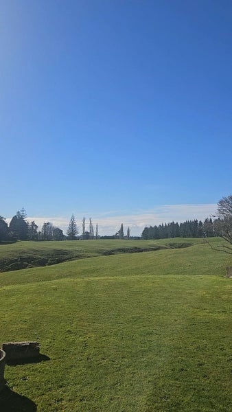 Pongakawa, 4 bedrooms64052565249667110