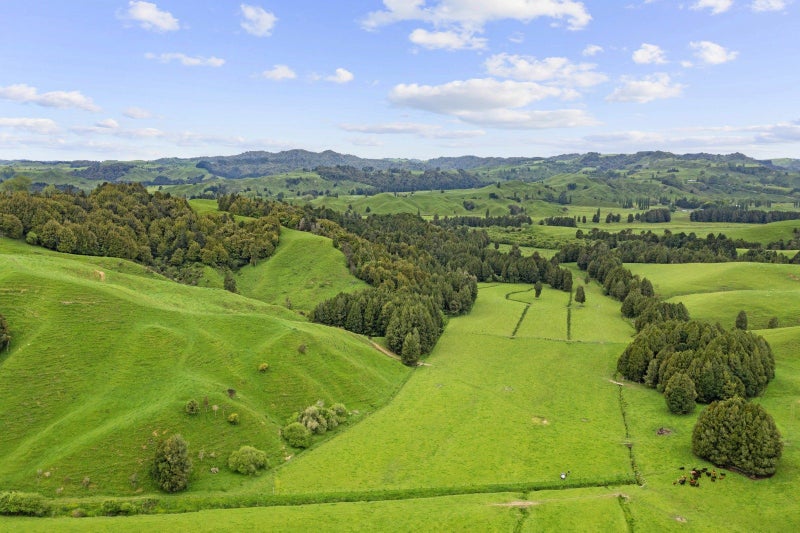 Exceptional Piopio Drystock Property64141789477763110