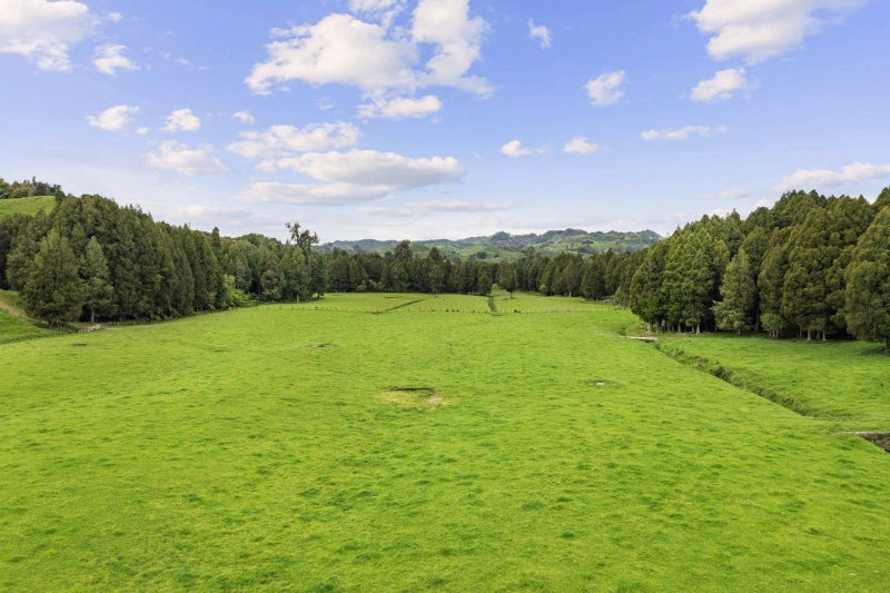 Exceptional Piopio Drystock Property64141789477763111