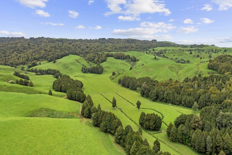 Exceptional Piopio Drystock Property64141789477763113