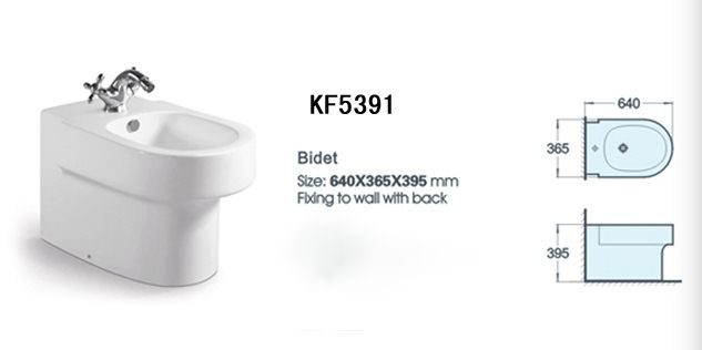 SALE! Bidet Toilet Back To Wall 5391 - Lennox Bathroom Carousel 1