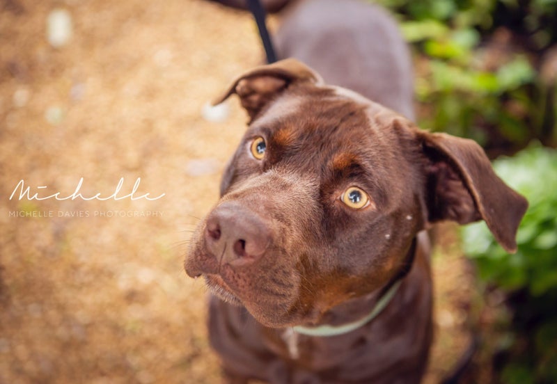 Coco - Chance 4 Change Carousel 1