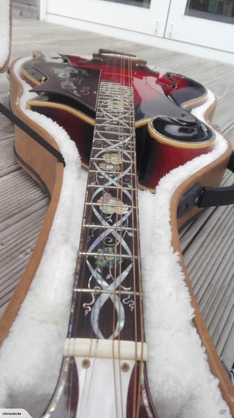 Octave Mandolin Carousel 2