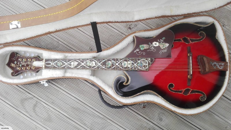 Octave Mandolin Carousel 1