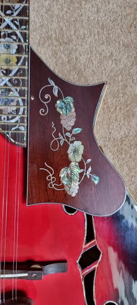 Octave Mandolin Carousel 13