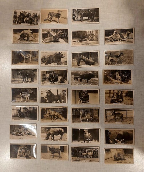 Collection of Cigarette Cards Carousel 1