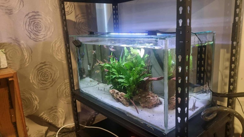 115L Community Tank w Lights&Filters Carousel 1