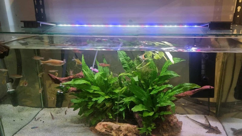 115L Community Tank w Lights&Filters Carousel 2