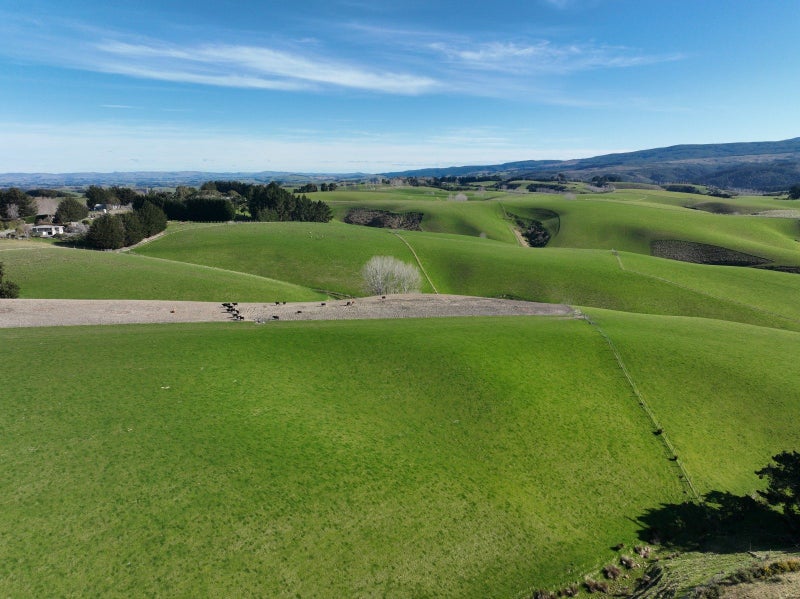 Versatile Sheep and Beef Property64073127598467110