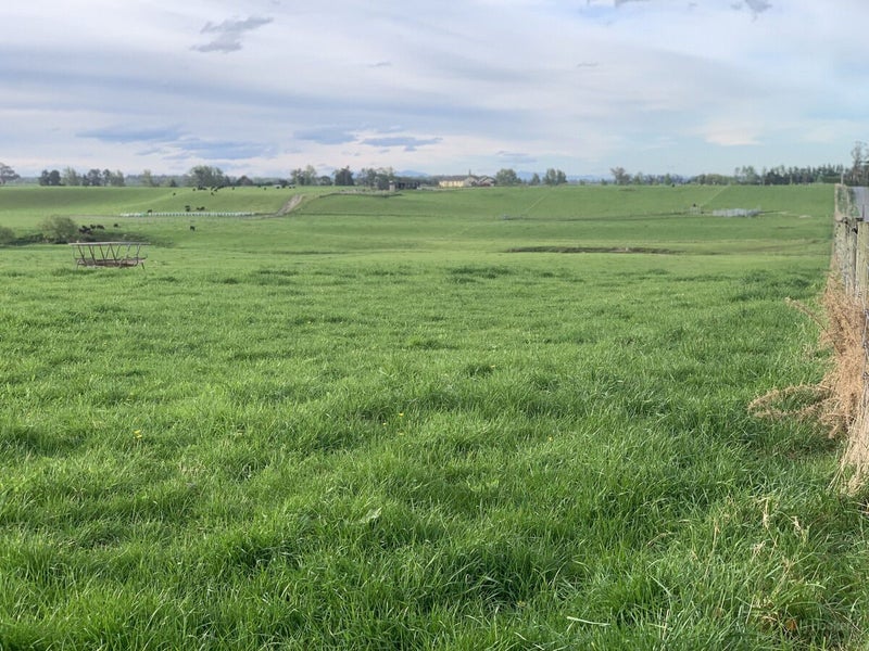 Ready to Build, Perfect to Graze64074691824258111