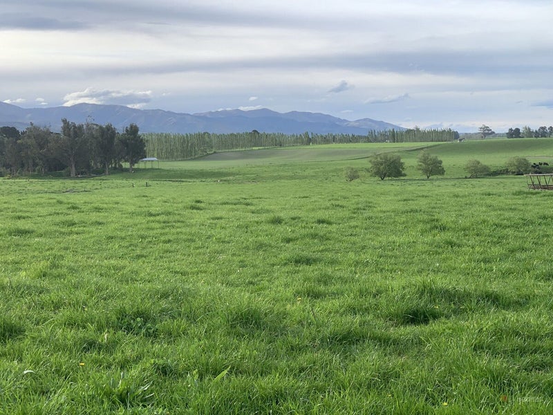 Ready to Build, Perfect to Graze64074691824258112