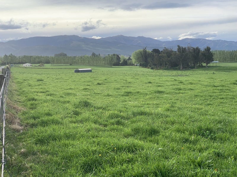 Ready to Build, Perfect to Graze64074691824258113