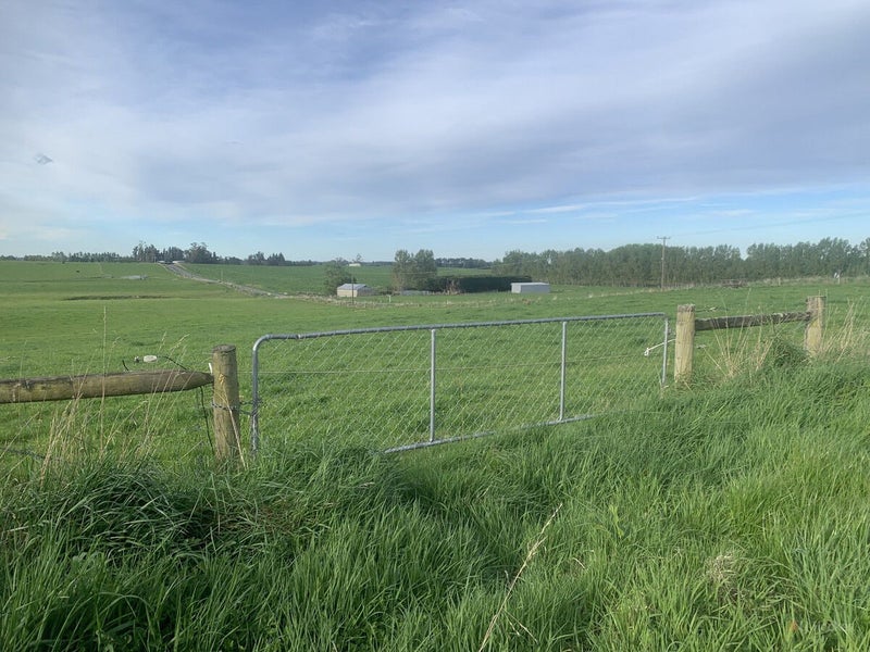 Ready to Build, Perfect to Graze64074691824258114