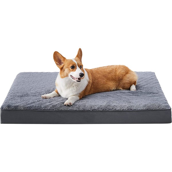 Egg-Crate Foam Dog Bed Lounge Sleep M - Brand New NZ Stock Carousel 1
