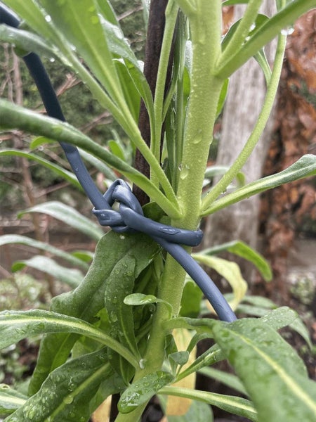 Gubba Flexi-tie Carousel 2