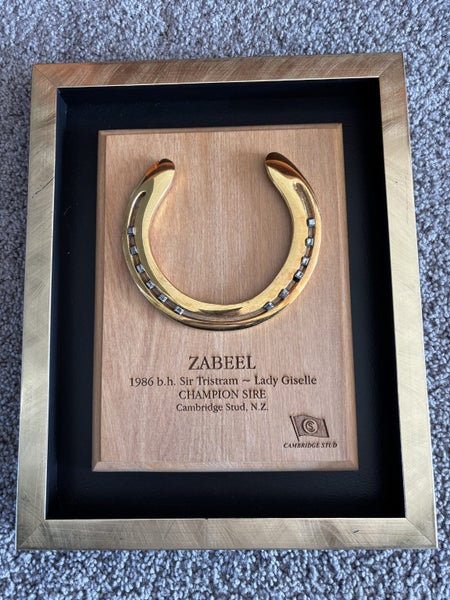 Zabeel - Horse shoe Carousel 1