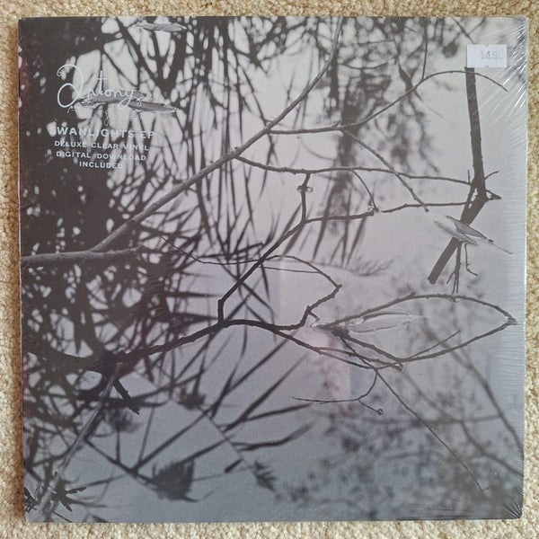 Antony – Swanlights Carousel 1