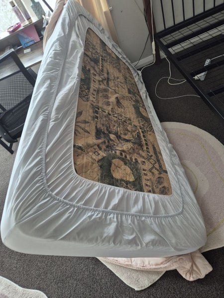 Bunk beds or two separate single beds64419762926466112