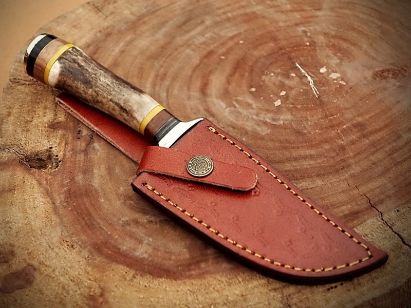 Hand Made Damascus Steel Stag Horn & Rose Wood Handle Collector Knife RRP 400$ Carousel 7