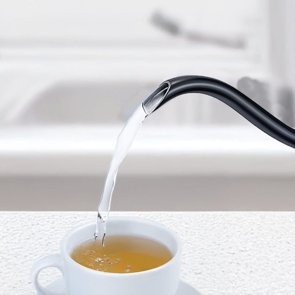 Westinghouse Gooseneck Kettle, Black Carousel 2