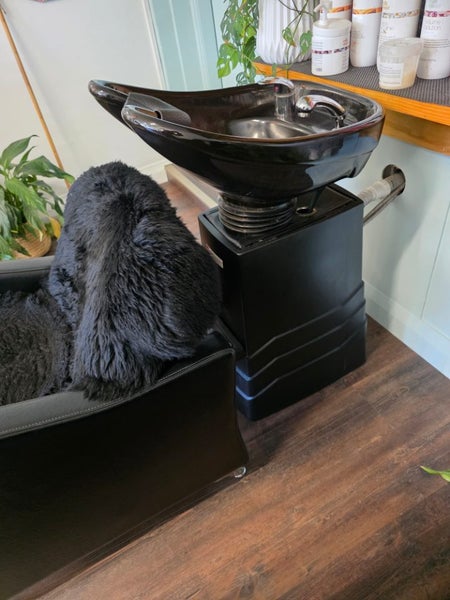 Comfortel Basin unit x2 Carousel 2
